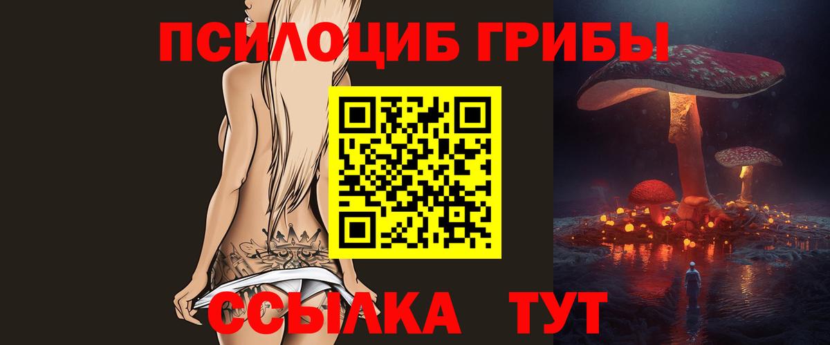 Псилоцибиновые грибы GOLDEN TEACHER  Псилоцибиновые грибы Magic Shrooms  Мытищи  Вход с VPN 